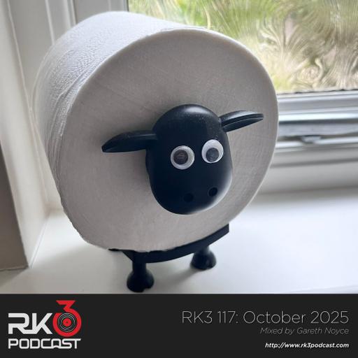 RK3 117: October 2025