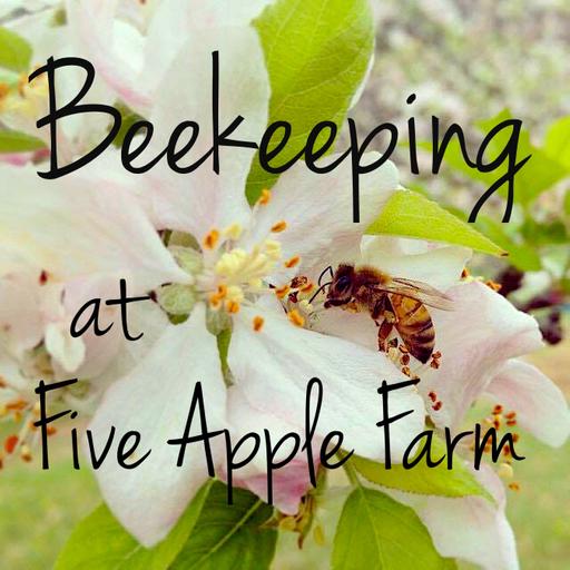 Ep 141 Bees & Big Ag from Michael Palmer's view