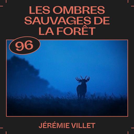 #96 — Les ombres sauvages de la forêt, avec Jérémie Villet