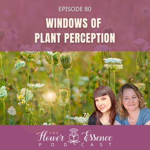 FEP80 Windows of Plant Perception | Learning to read the book of Nature