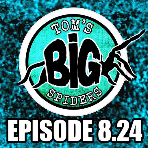 9 Controversial Tarantula Topics