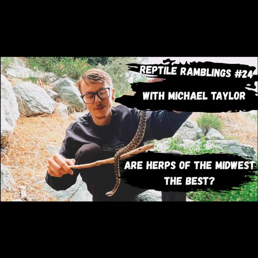 Is Herping the Midwest Best? | Reptile Ramblings #24