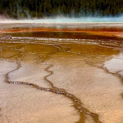 "When Life is Hard" | Rev. Dr. Donovan Drake preaching | 10.05.25