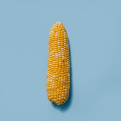1 Classroom Lesson that is REALLY Corny, But Really Awesome! (And I Promise It’s NOT Cornfusing to Try With Your Students)