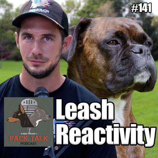 #141 Leash Reactivity Solutions for Dog Owners