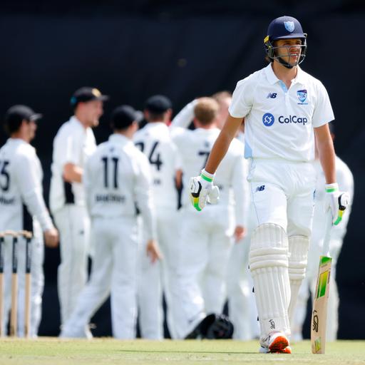 The great Australian bat-off is on!