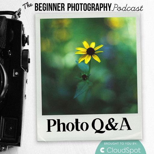 Photo Q&A: How to Avoid Wasting Money on Camera Gear