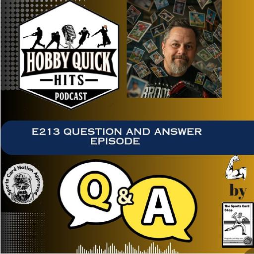 Question & Answer Episode E213