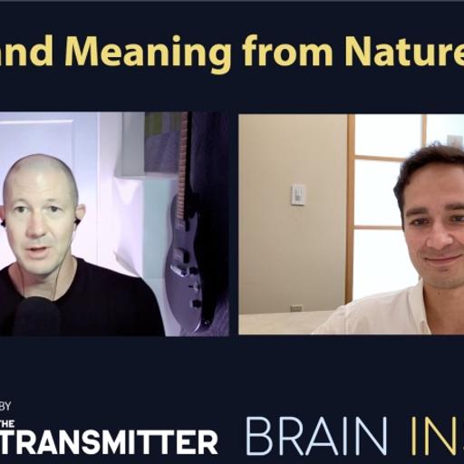 BI 222 Nikolay Kukushkin: Minds and Meaning from Nature’s Ideas