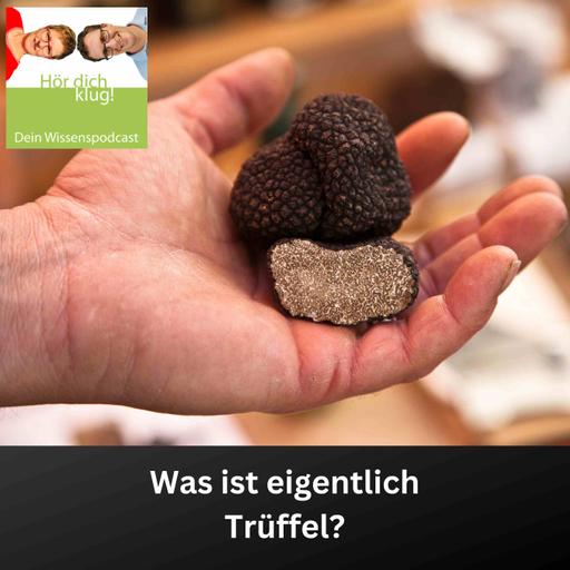Was ist eigentlich Trüffel?
