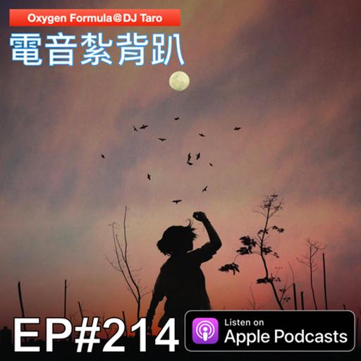 EP214【派對電音】今人不見古時月，今月曾照古時人