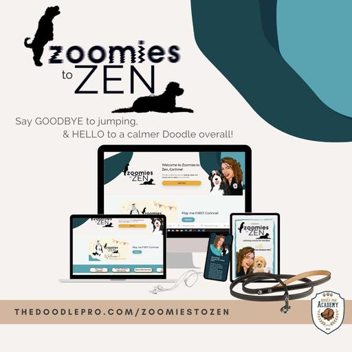 78: From Chaos to Calm: What We Actually Do Inside Zoomies to Zen™
