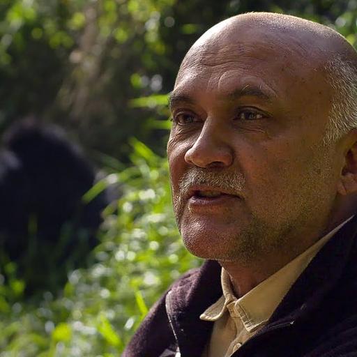 JANE GOODALL SPECIAL: Trekking with Chimpanzees and Mountain Gorillas