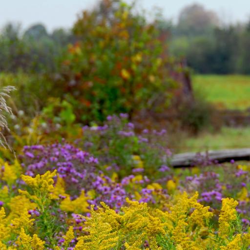 247: Parenting Yourself Through Challenging Emotions