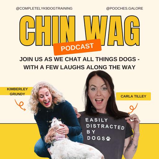 Puppy Class Confidential: Secrets to Happy, Well-Trained Pups