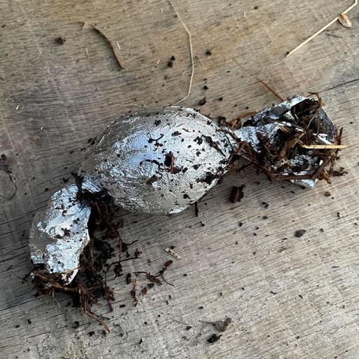 835. "Cooking" a Wrapped Egg in a Compost Pile