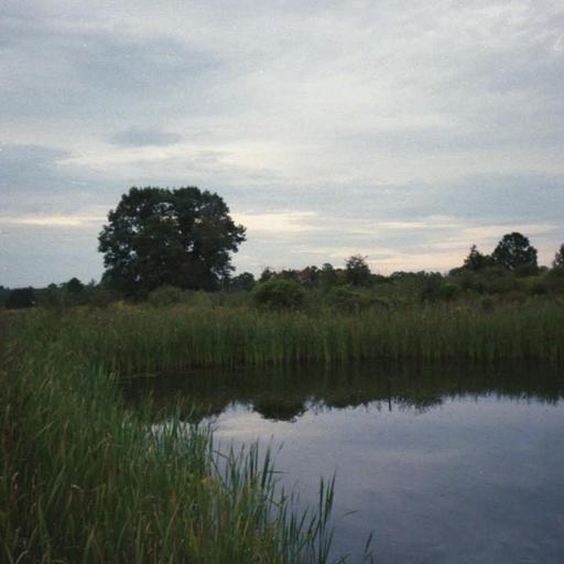 Dusk, Harrier Hill, New York, USA on 13th September 2025 – by Jonah N. Buchanan