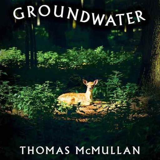 Little Atoms 972 - Thomas McMullan's Groundwater