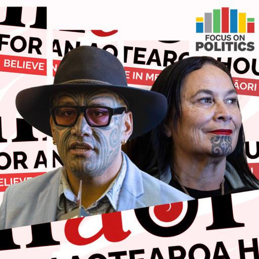 Questions linger after Te Pāti Māori reset