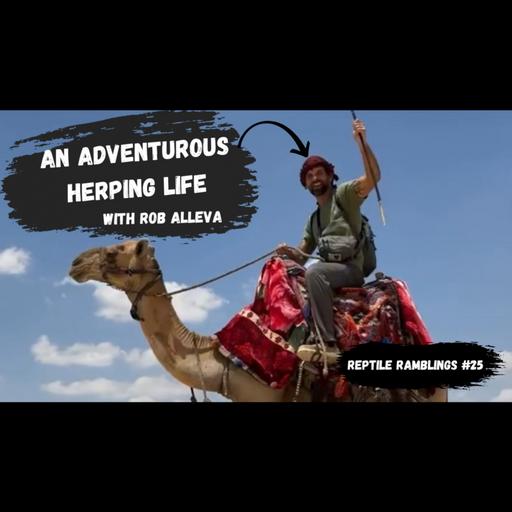 An Adventurous Herping Life with Rob Alleva | Reptile Ramblings #25