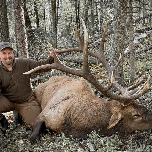 Rut Hunting Big Bull Elk: New Mexico Audio Journal
