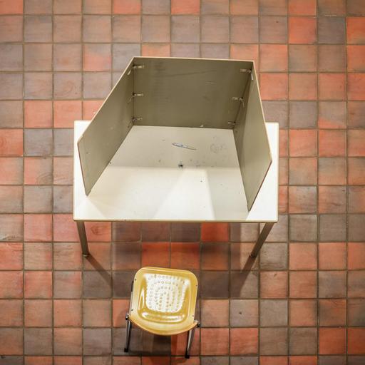 Je erratischer, desto mächtiger: Was leisten eigentlich Laien?