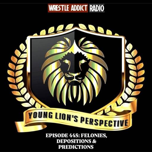 YLP Podcast - Ep. 445: Felonies, Depositions & Predictions
