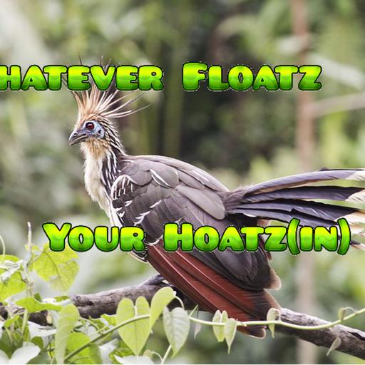 Episode 79: Whatever Floatz your Hoatz(in): The Farting, Fermenting Hoatzin!