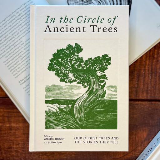 Ep. 547 - Ancient Tree Stories