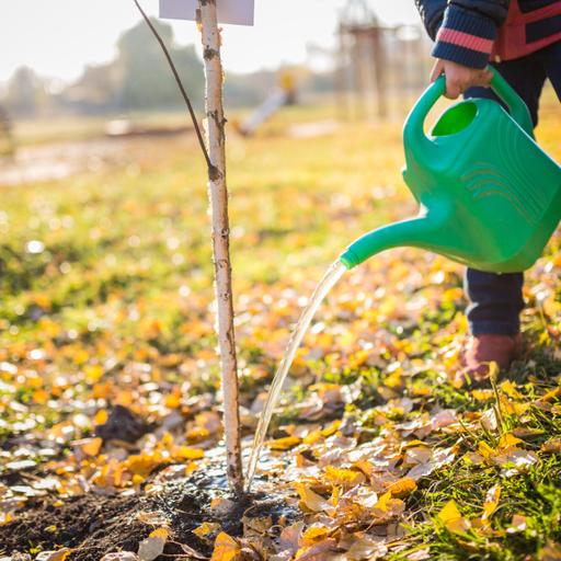 How to prep trees and perennials for winter during a drought