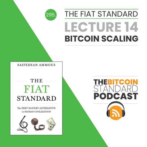 295. The Fiat Standard Lecture 14: Bitcoin Scaling