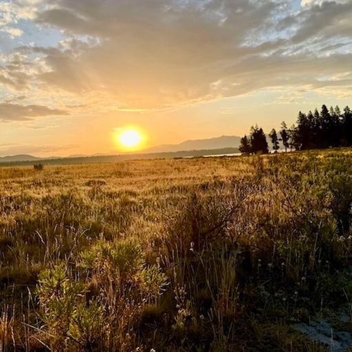 "Mercy me! Mercy you!" | Rev. Dr. Donovan Drake preaching | 10.12.25