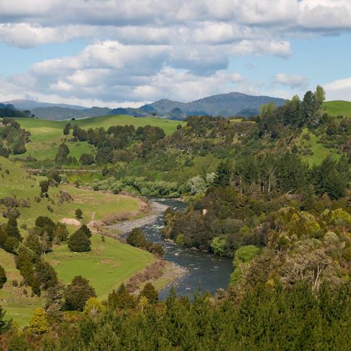 Innovative initiatives for nature recognized with World Future Policy Awards