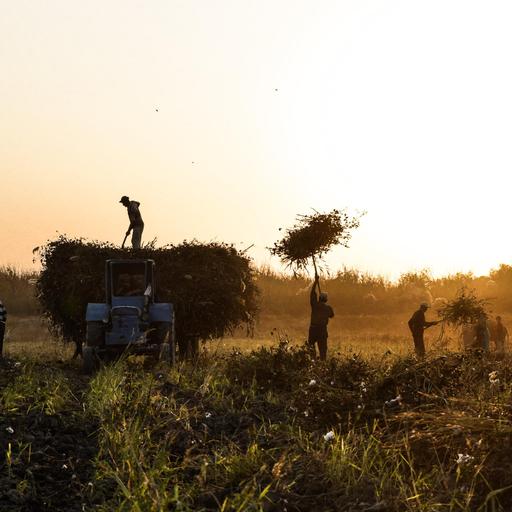 Usbekistans Wassernot - Kampf um eine lebenswichtige Ressource