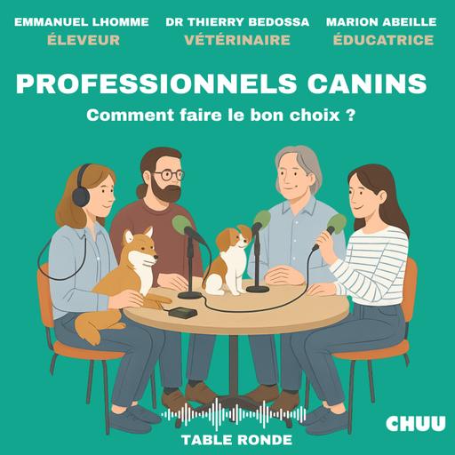 Trouver le bon pro pour son chien : éleveur, éducateur, vétérinaire ?