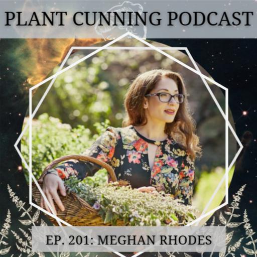 Ep. 201: Ayurvedic Doshas and the Seasons with Meghan Rhodes