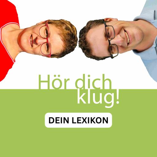 Was ist ein Faradayscher Käfig?