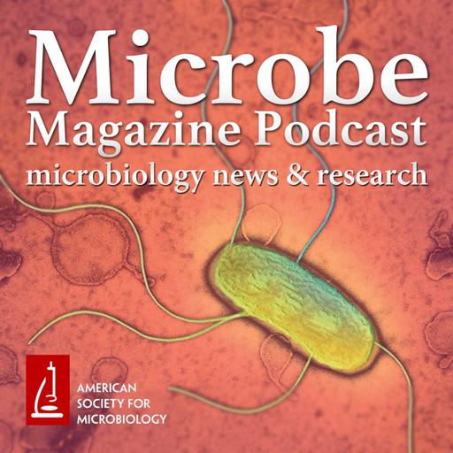 Artificial Intelligence in the Microbiology Laboratory (JCM ed.)