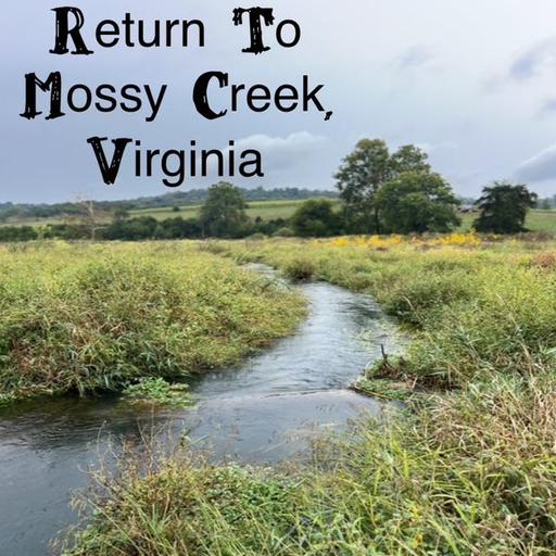Return To Mossy Creek - Brown Trout, Terrestrials, And Hitchhikers