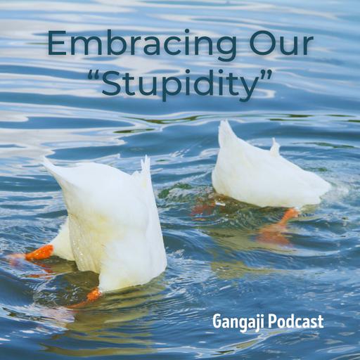 Being Yourself | Embracing Our "Stupidity"