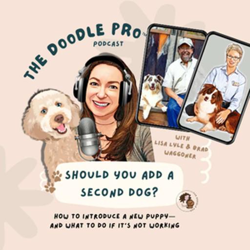 Ep 79: Should You Add a Second Dog? How to Introduce a New Puppy the Right Way