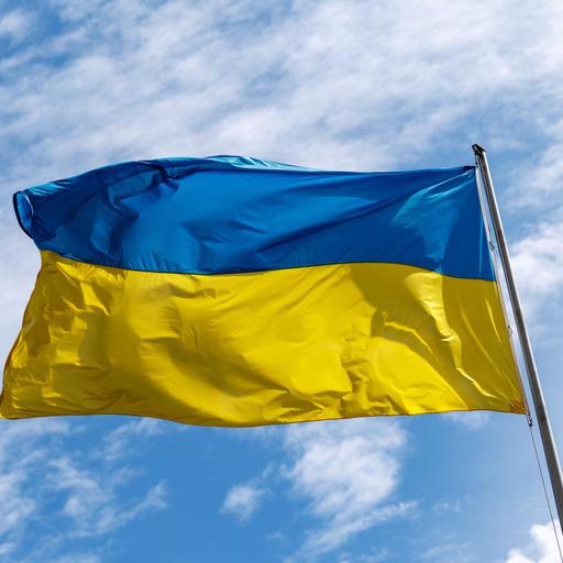 Der Ukrainer Wolodymyr und seine Gänse - Leben nach der russischen Okkupation