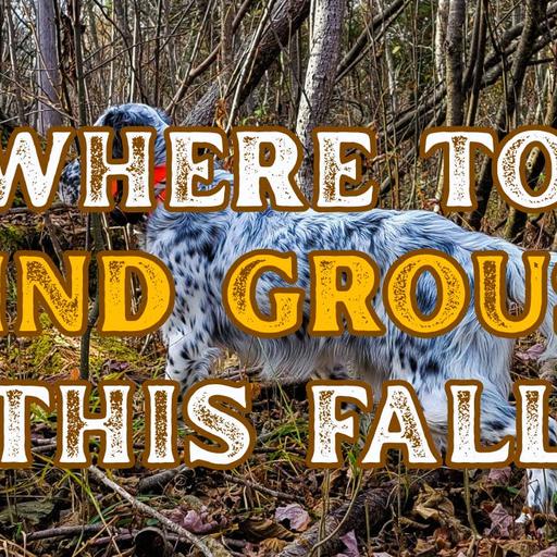 #336 | Habitat Clues Every Upland Hunter Should Know with Ann Jandernoa