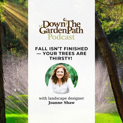 Fall Isn’t Finished — Your Trees Are Thirsty!