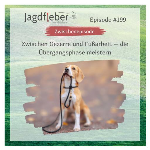 P199: Zwischen Gezerre und Fußarbeit – die Übergangsphase meistern