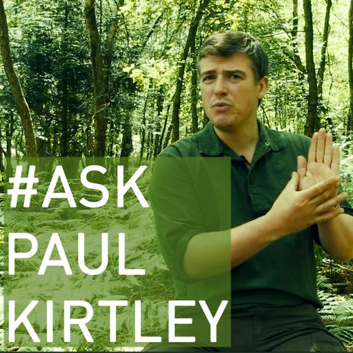 #AskPaulKirtley 92 – Sharpening, Sleep Systems, Smaller Bushcraft Knives & Wearing Waterproofs To Bed