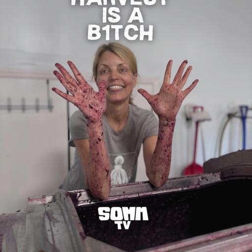 Episode 267: Harvest is a B1tch