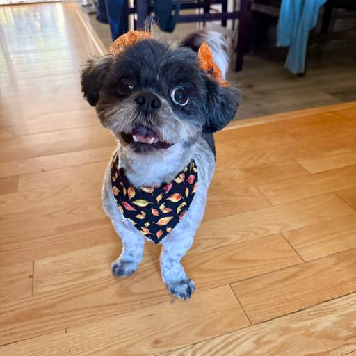 Intervals Fdip388 Preview