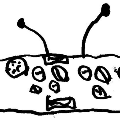 2025-10-19 Spare the Rock for stations