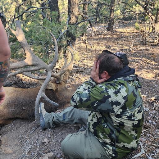 406" Bull in NV "the Cardinal Bull"